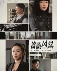 Cơn Bão Hoa Hồng Cơn Bão Hoa Hồng