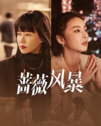 Cơn Bão Hoa Hồng Cơn Bão Hoa Hồng