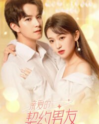 Bạn Trai Hợp Đồng Bạn Trai Hợp Đồng