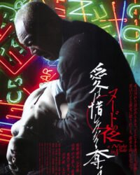 Đêm Cuồng Si Đêm Cuồng Si