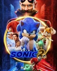 Nhím Sonic 2 Nhím Sonic 2