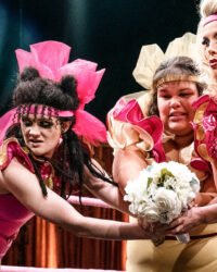 Những quý cô đấu vật quyến rũ (Phần 2)