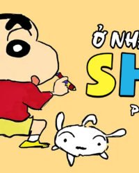 Ở Nhà Cùng Shin (Phần 4) Ở Nhà Cùng Shin (Phần 4)