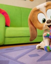 Những Chú Chó Và Đồ Chơi