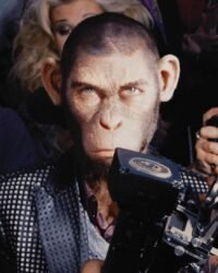 Quý Ông Hoàn Hảo Quý Ông Hoàn Hảo