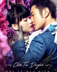 Cẩm Tú Duyên Hoa Lệ Mạo Hiểm Cẩm Tú Duyên Hoa Lệ Mạo Hiểm