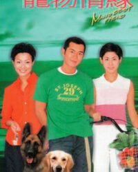 Chú Chó Thông Minh Chú Chó Thông Minh