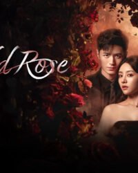 Cô Gái Thân Quen Cô Gái Thân Quen