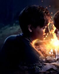 Mùa Lạc Trong Rừng Mùa Lạc Trong Rừng