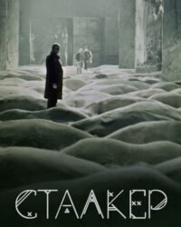 Người Dẫn Đường (1979) Người Dẫn Đường (1979)