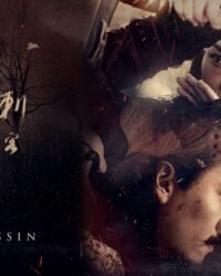 Thích Khách Nhiếp Ẩn Nương Thích Khách Nhiếp Ẩn Nương