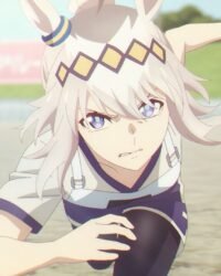 Cô Gái Ngựa Đua Lọ Lem Xám Cô Gái Ngựa Đua Lọ Lem Xám