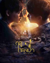 Mùa Lạc Trong Rừng Mùa Lạc Trong Rừng