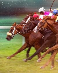 Phi Nước Kiệu Đến Ngôi Vương